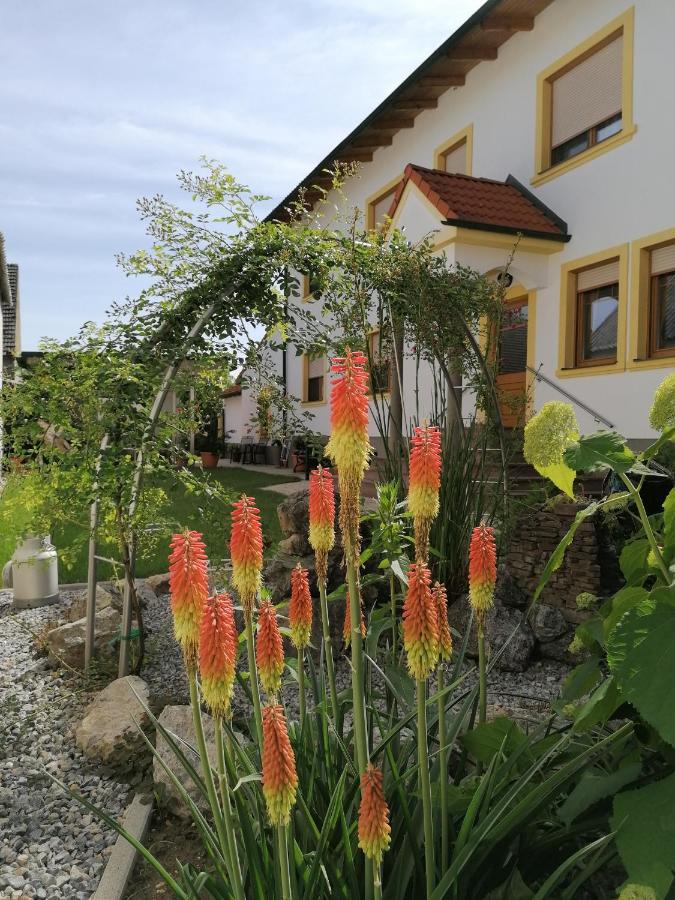 فندق Nationalparkhof Gartner Weingut-Gastehaus إلميتز المظهر الخارجي الصورة